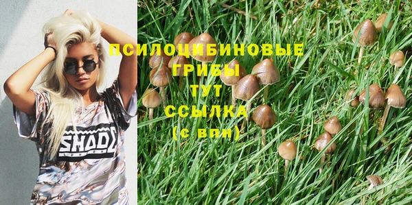 амф Богородицк