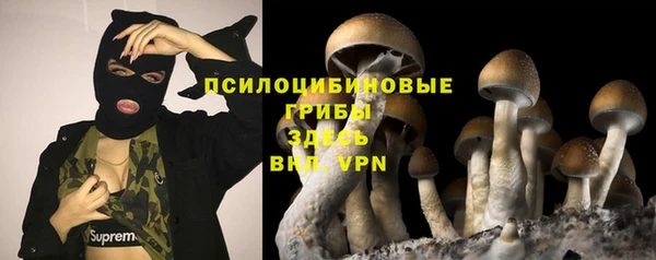 амф Богородицк