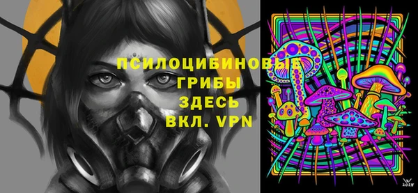 экстази Богородск