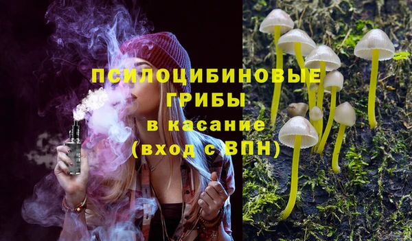 экстази Богородск