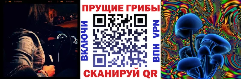 Галлюциногенные грибы мицелий  наркошоп  Калининград 